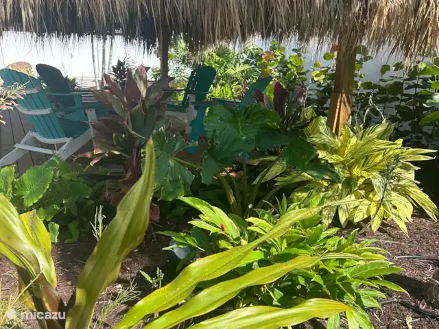 Plus de plantes
